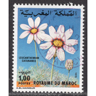MOROCCO SCOTT 444