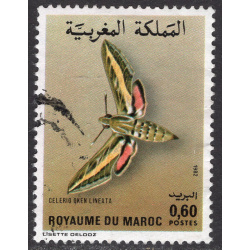 MOROCCO SCOTT 528