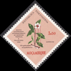 MOZAMBIQUE SCOTT 404