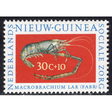 NETHERLANDS-NEW GUINEA SCOTT B34