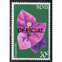 NEVIS SCOTT O31