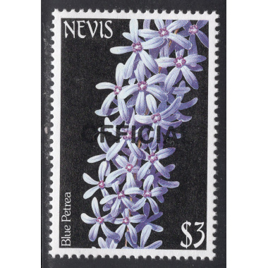 NEVIS SCOTT O38