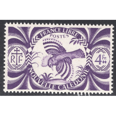 NEW CALEDONIA SCOTT 262