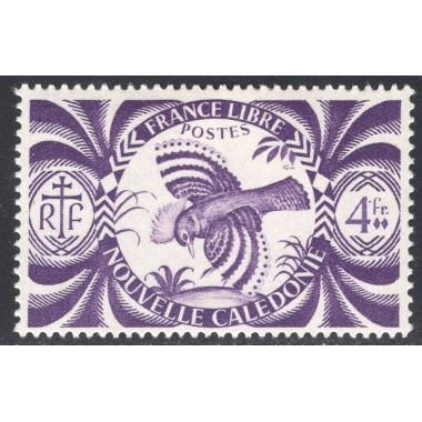 NEW CALEDONIA SCOTT 262