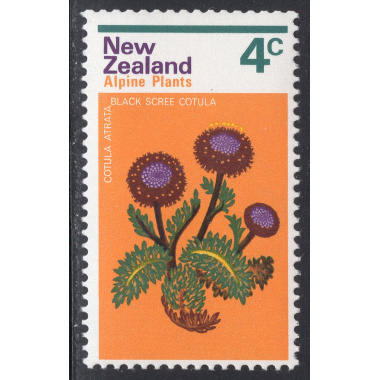 NEW ZEALAND SCOTT 500