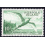 NORFOLK ISLAND SCOTT 41