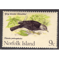 NORFOLK ISLAND SCOTT 132