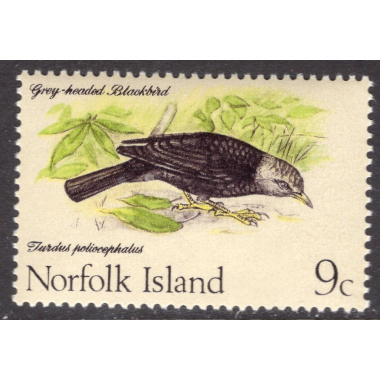 NORFOLK ISLAND SCOTT 132