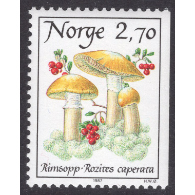 NORWAY SCOTT 885
