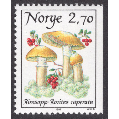 NORWAY SCOTT 885