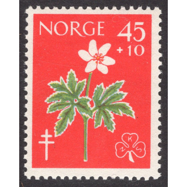 NORWAY SCOTT B62