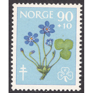 NORWAY SCOTT B63
