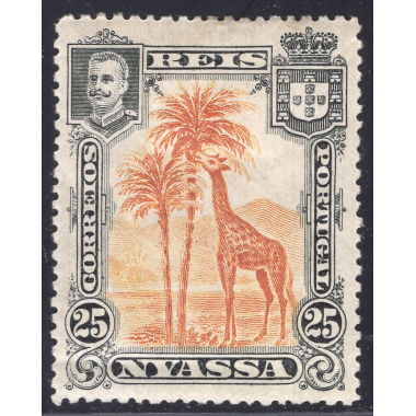 NYASSA SCOTT 31