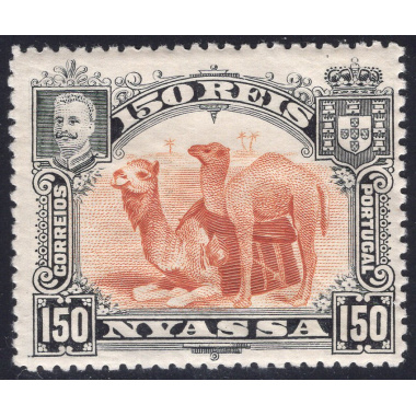 NYASSA SCOTT 36
