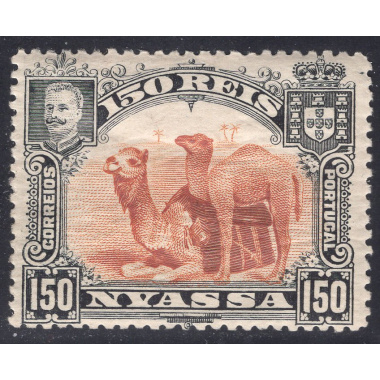 NYASSA SCOTT 36
