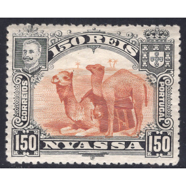 NYASSA SCOTT 36