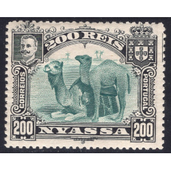 NYASSA SCOTT 37