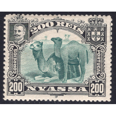 NYASSA SCOTT 37