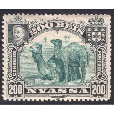 NYASSA SCOTT 37