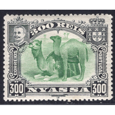 NYASSA SCOTT 38