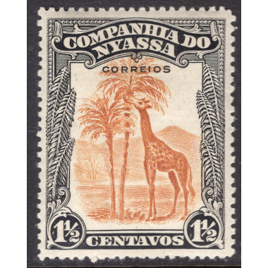 NYASSA SCOTT 109