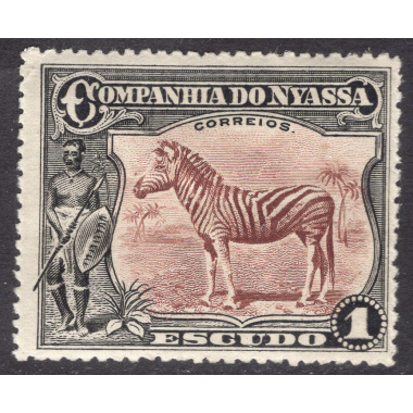 NYASSA SCOTT 123