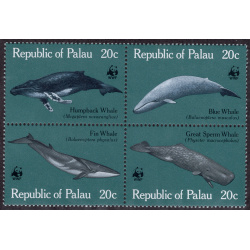 PALAU SCOTT 27A