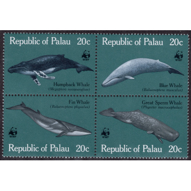PALAU SCOTT 27A