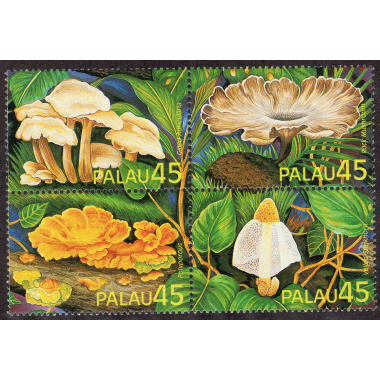 PALAU SCOTT 211A