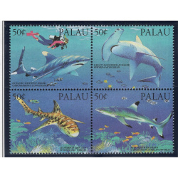 PALAU SCOTT 315