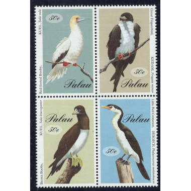 PALAU SCOTT 324