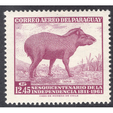 PARAGUAY SCOTT C291