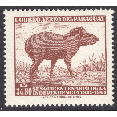PARAGUAY SCOTT C293
