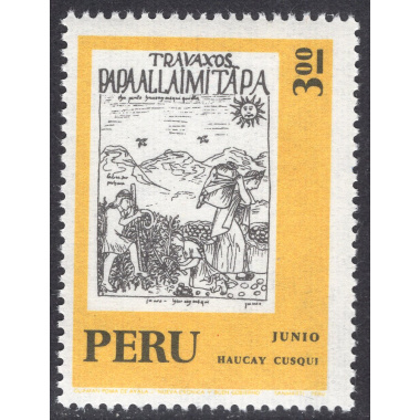 PERU SCOTT 593