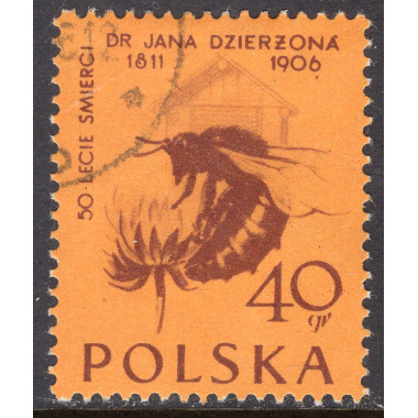 POLAND SCOTT 744
