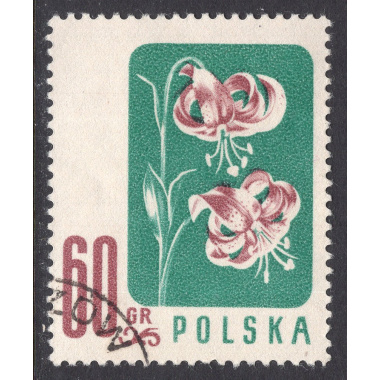 POLAND SCOTT 781