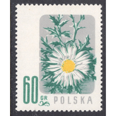 POLAND SCOTT 782