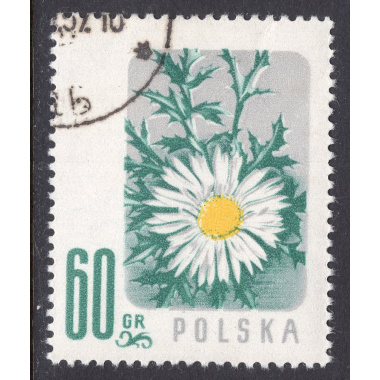 POLAND SCOTT 782
