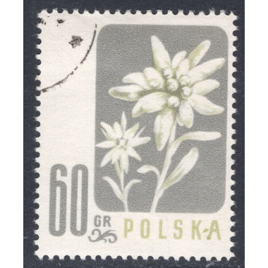 POLAND SCOTT 784