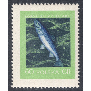 POLAND SCOTT 811