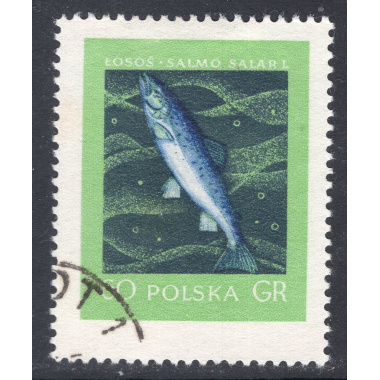 POLAND SCOTT 811