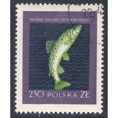 POLAND SCOTT 813