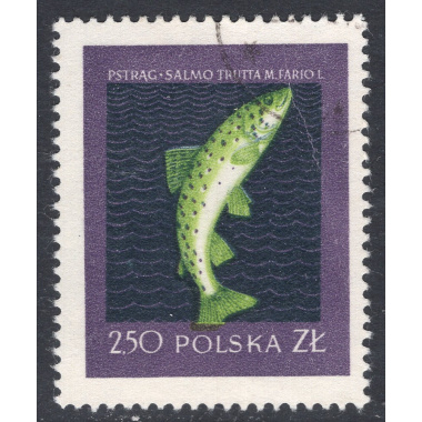 POLAND SCOTT 813