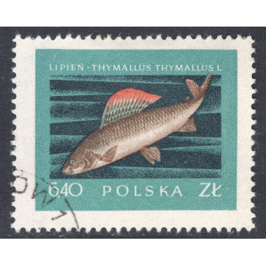 POLAND SCOTT 814