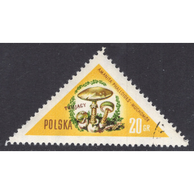 POLAND SCOTT 842