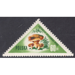 POLAND SCOTT 845