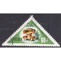 POLAND SCOTT 845