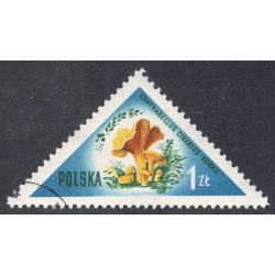 POLAND SCOTT 846