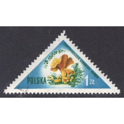 POLAND SCOTT 846