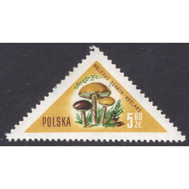 POLAND SCOTT 849